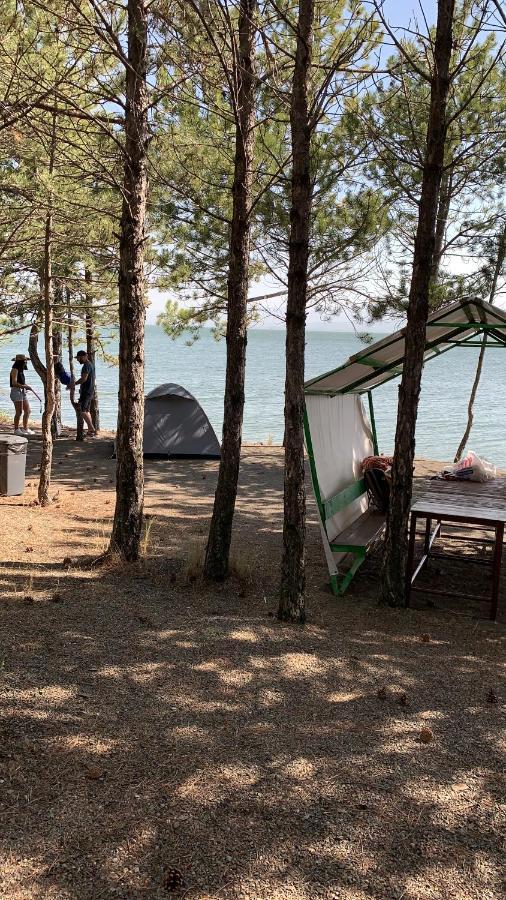 Zhayr Resort & Dive Drakhtik Экстерьер фото