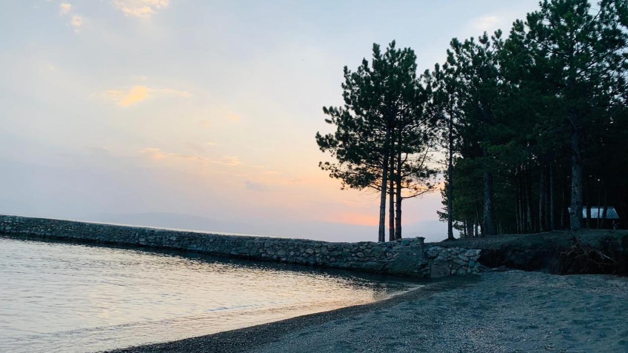 Zhayr Resort & Dive Drakhtik Экстерьер фото